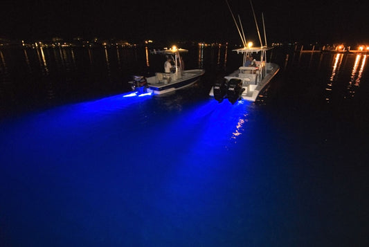 Maximizing Your Fishing Trip with LiFePO4 Batteries