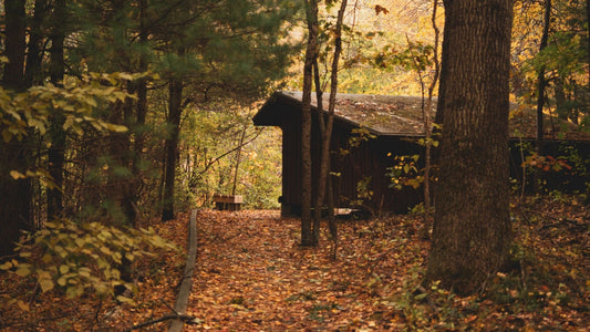Fall Camping in Canada: Essential Gear and Rocksolar's Camping Power Solutions