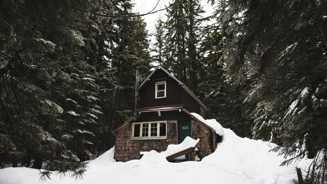 Lithium Batteries vs. Lithium-Ion Batteries: Which Reigns Supreme in Canada's Cold Climates?
