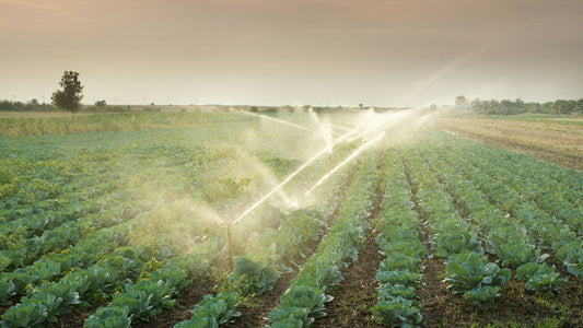 The Environmental Benefits of Solar Water Pump Kits