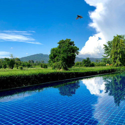 Pumps For Pool Circulation