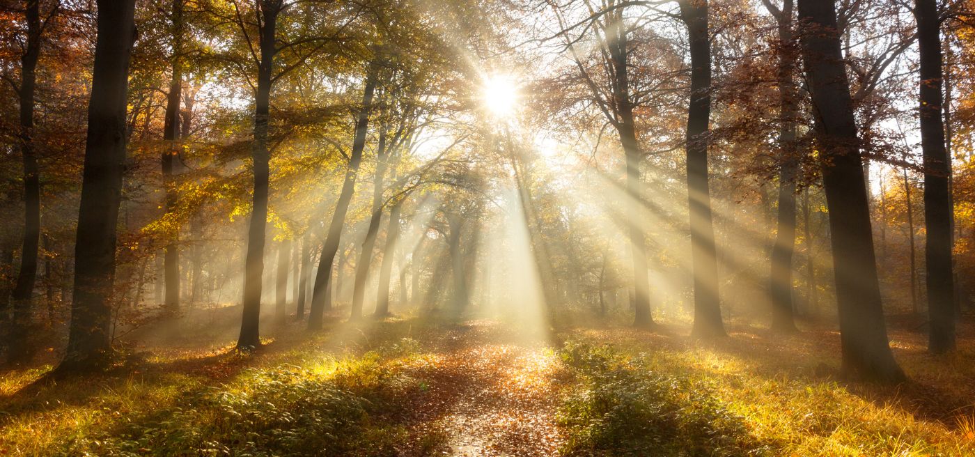The Future of Solar Energy: Sustainable Growth and Innovations