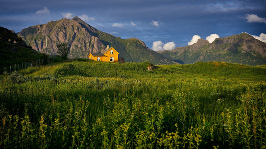 Common Questions about Installing Rigid Solar Panels on Cottages