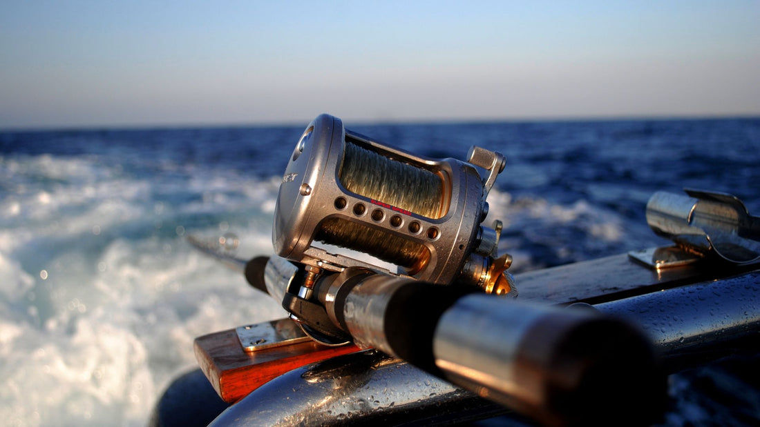 Rocksolar's Fish Finder Battery: A Game-Changer for Fishing Enthusiasts