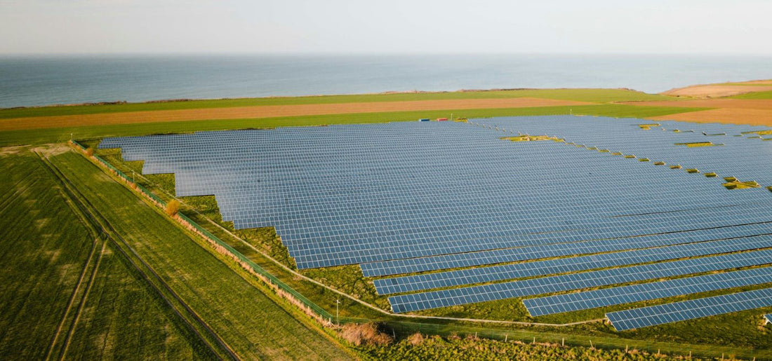 Solar Solutions: Powering Farms into a Sustainable Future