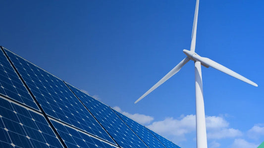 Exploring the Wider Environmental Impact of Wind Turbines