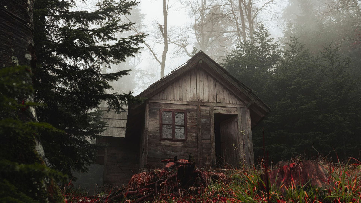 Off-Grid Solar for Remote Hunting Cabins: Reliable Energy in the Canadian Wilderness