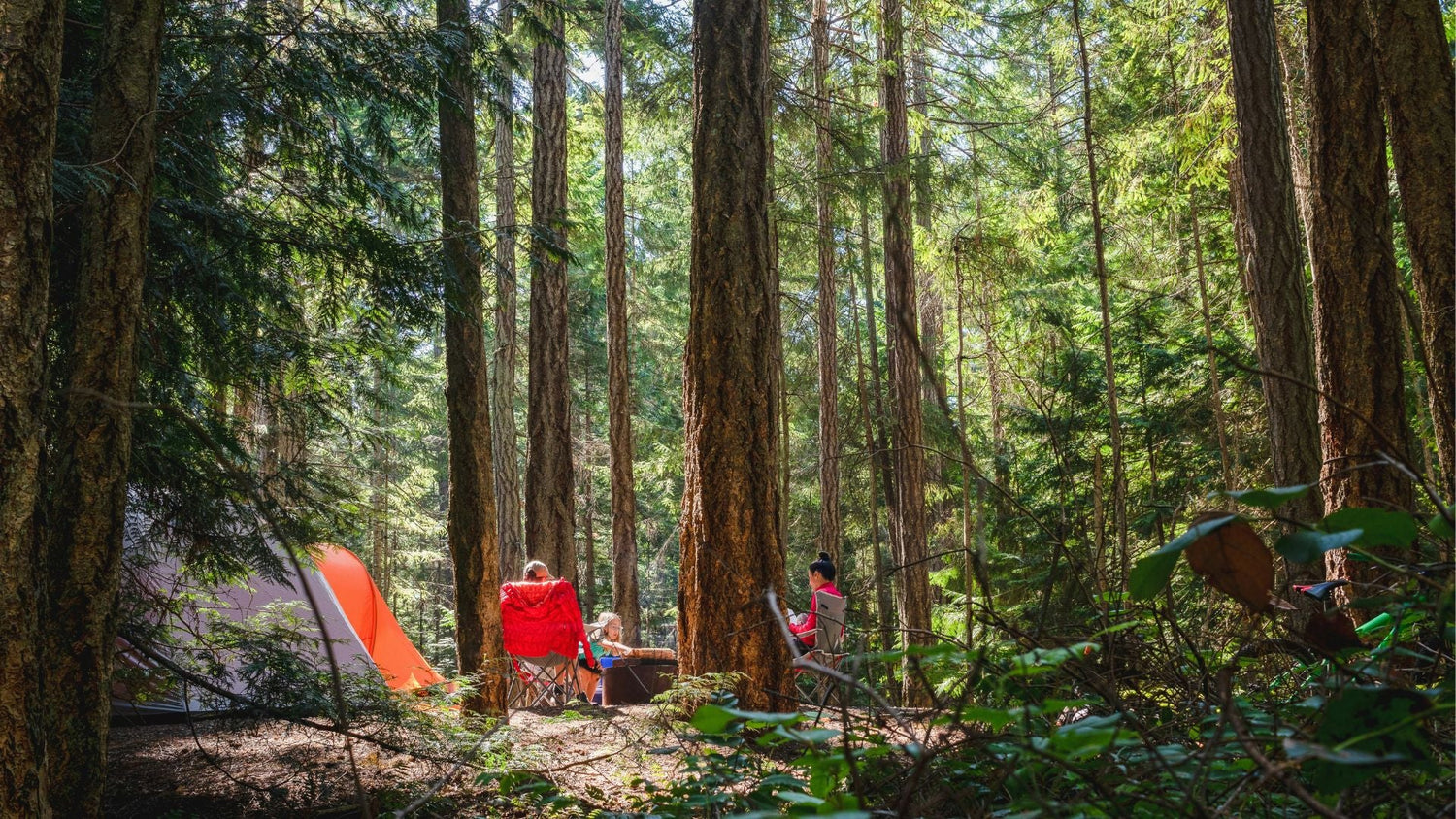 Top Portable Solar Generator Kits for Your Summer Getaway