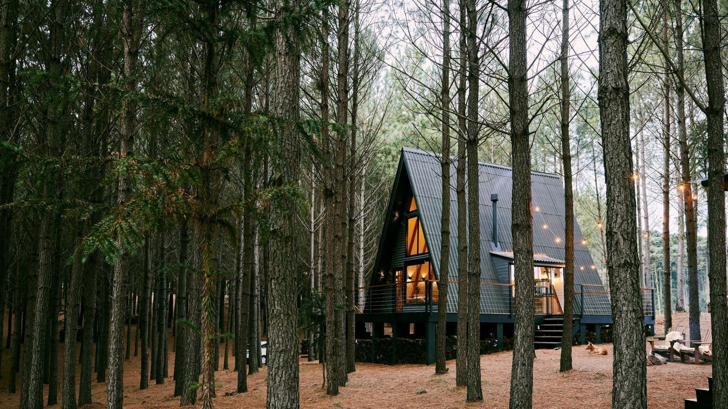 Off-Grid Living 101: A Comprehensive Guide to Choosing the Right Solar Kit for Your Cottage