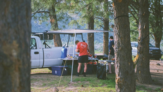 Why a Pure Sine Wave Inverter Is the Best Choice for Your RV