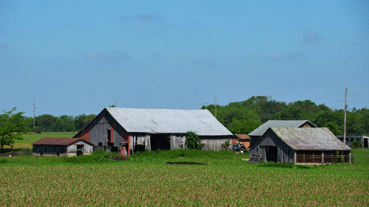 Save on Farm Energy Costs with Solar Pumps for Farms