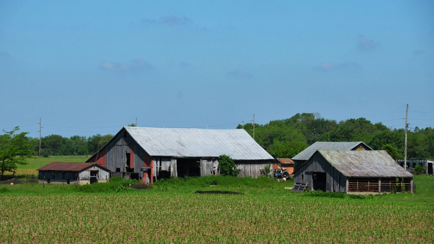 Save on Farm Energy Costs with Solar Pumps for Farms