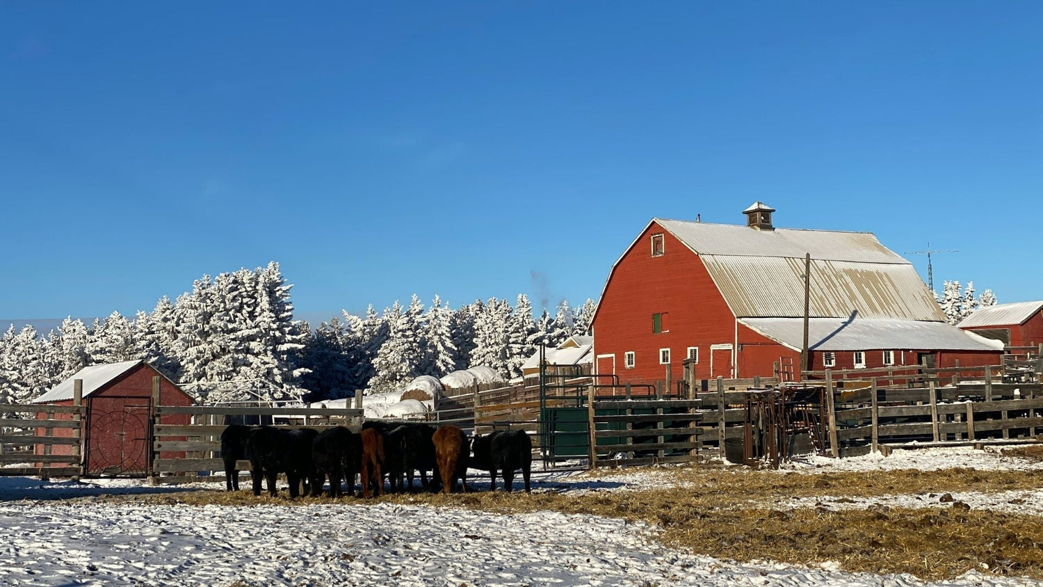 Can a Solar Water Pump Run Without Full Sun? Explained