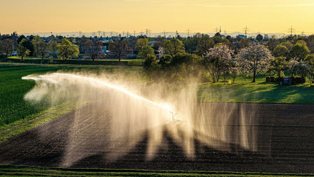 Top Features to Look for in a Solar Transfer Pump