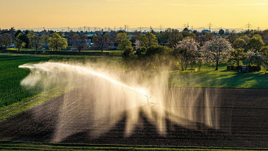Top Features to Look for in a Solar Transfer Pump