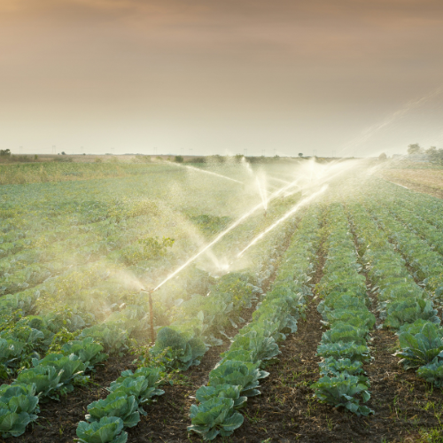 Pumps For Agricultural Irrigation