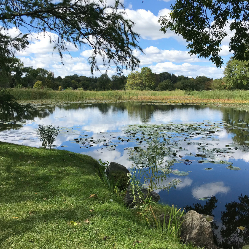 Pumps For Aquaculture, Ponds & Rivers