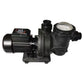 Solar Swimming Pool Pump 1.07HP