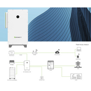 growatt hybrid inverter 40kw